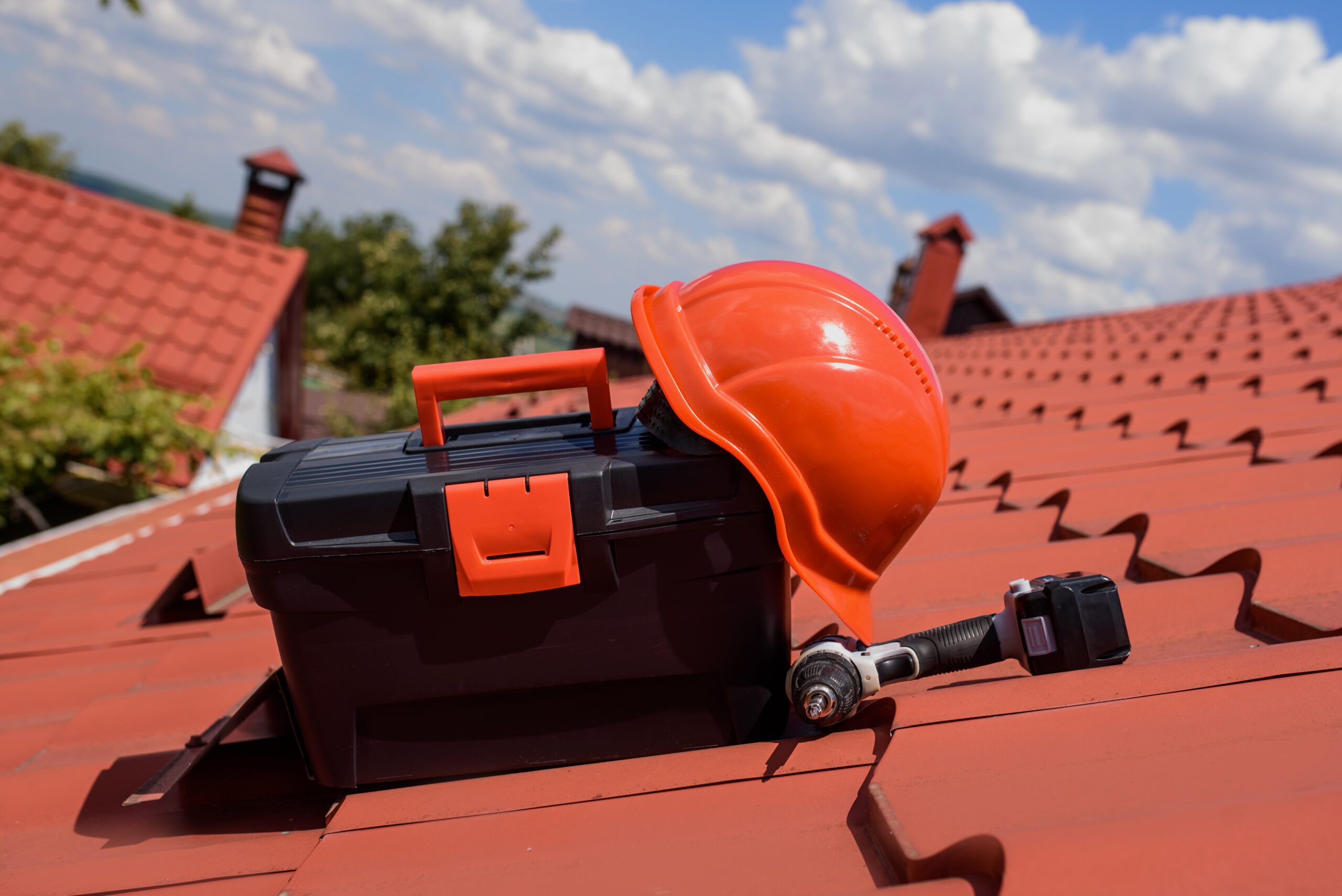 Roof Care Workers