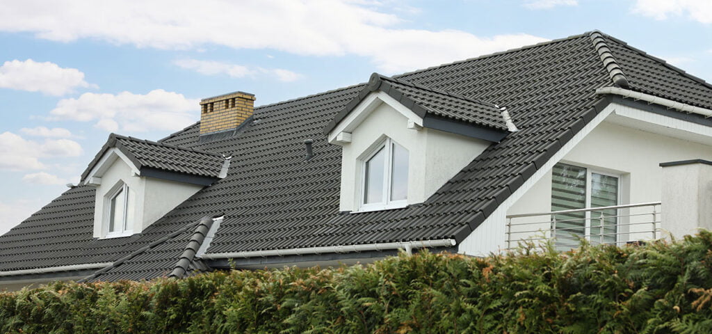 Roof Care Workers